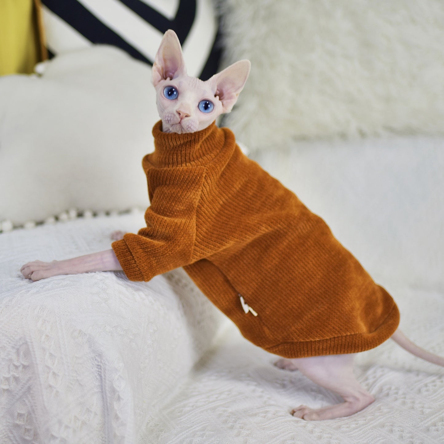 Neil Rong Sphinx Hairless Cat Clothes