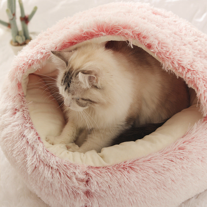 Cat litter to keep warm in winter for semi-enclosed cats