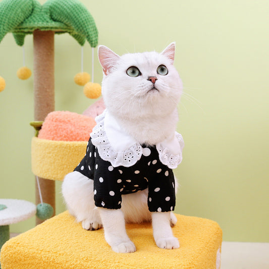 Pet Clothes Blue Cat Ragdoll T-shirt Clothing