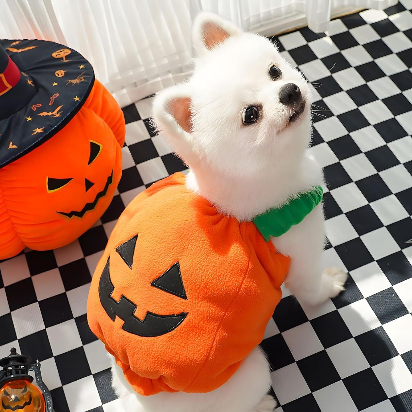 Funny Pumpkin Cat Halloween Costume Pet Cat / Dog Thick Plush Pumpkin Decoration Shirt Clothes For Small Medium Dogs Cats Puppy Cute Halloween Party Cosplay Dress Up Outfits