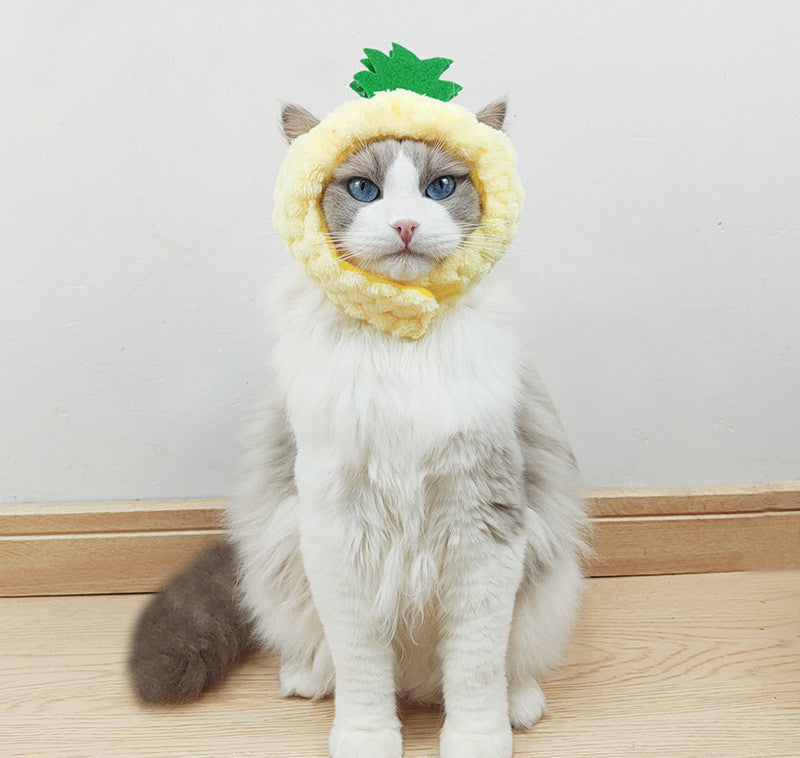 Cute Pineapple Cat Hat Warm Puppet Headdress