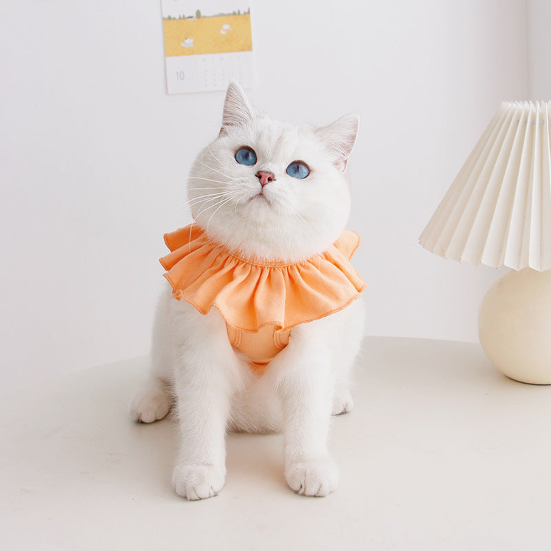 Burden-Relieving Sterilization Suit Pet Clothes Cute Breathable Summer Thin Female Cat Weaning Cat Surgical Gown