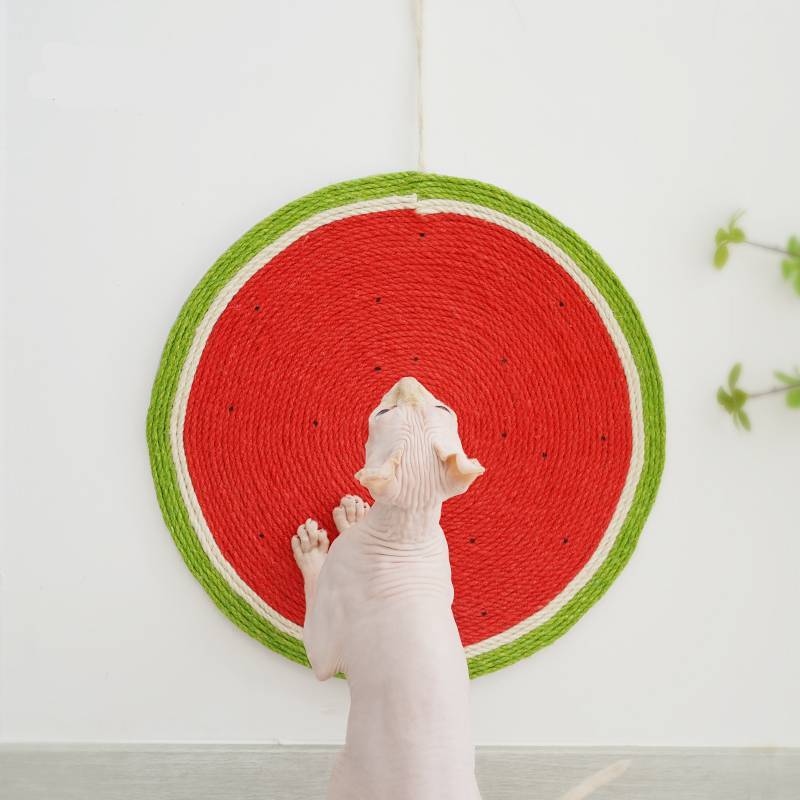 Creative Wall-Mounted Watermelon Cat Scratching Board Toy