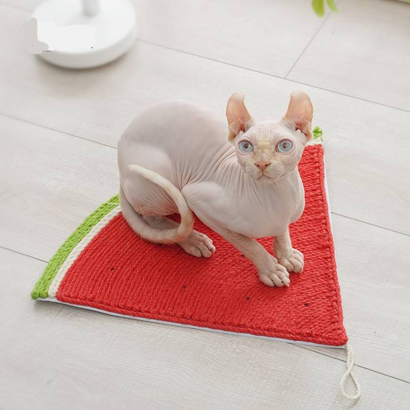 Creative Wall-Mounted Watermelon Cat Scratching Board Toy