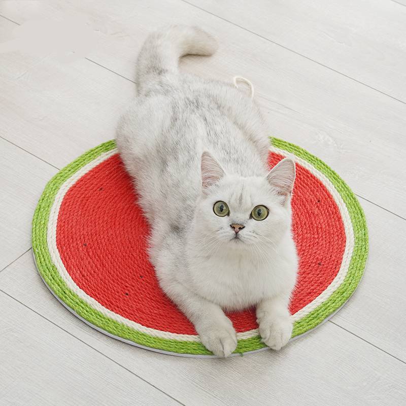 Creative Wall-Mounted Watermelon Cat Scratching Board Toy