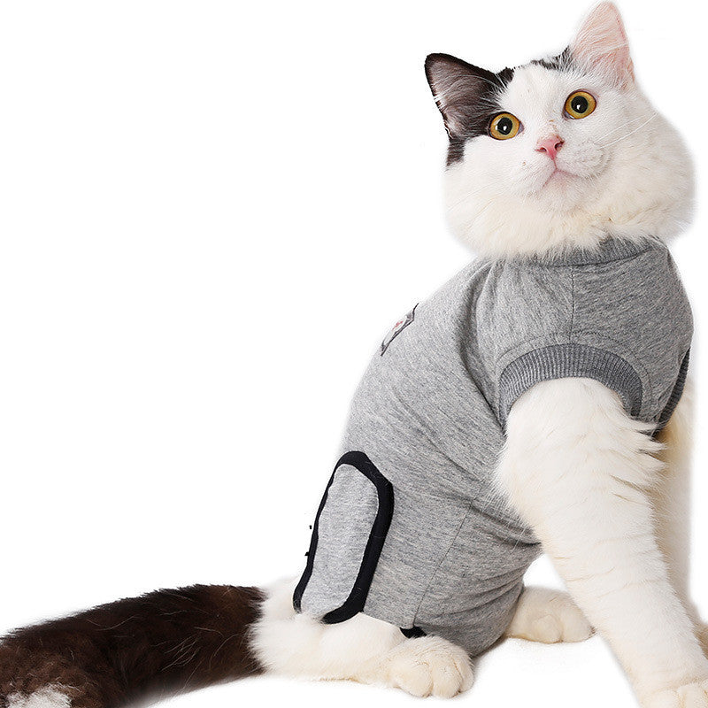 Restoring Clothes After Cat Sterilization