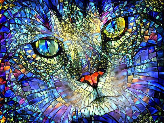 Diamond Painting Full Cat Kit Animal Home Decoration