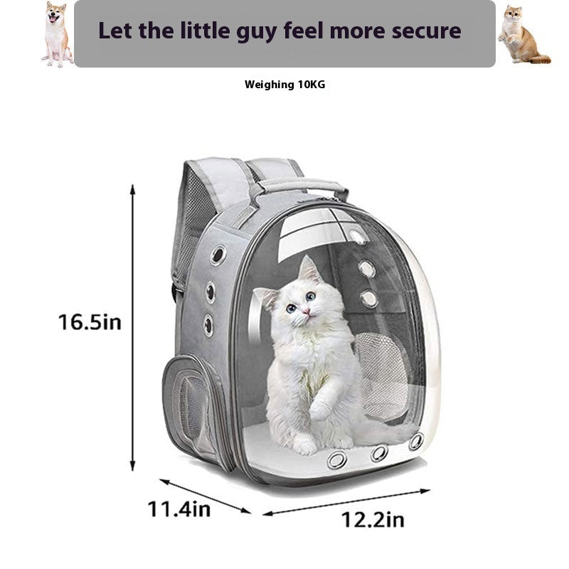 Portable Large Capacity Small Transparent Backpack Cat Bag