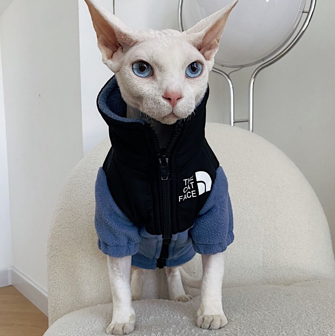 Hairless Cat Clothes Warm Pet Cat Clothes