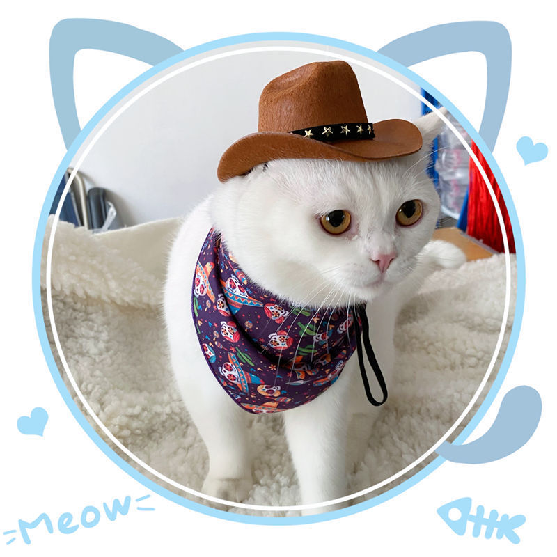 British Cat Hat XINGX Cowboy Hat