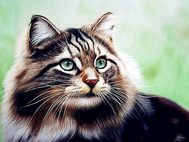 Cat Diamond Painting Animal Rhinestone Diamond Embroidery