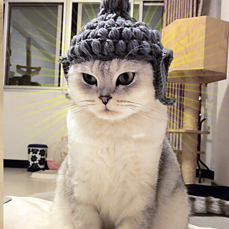 Buddha wool Cat Hat pet knitting hat cos hat