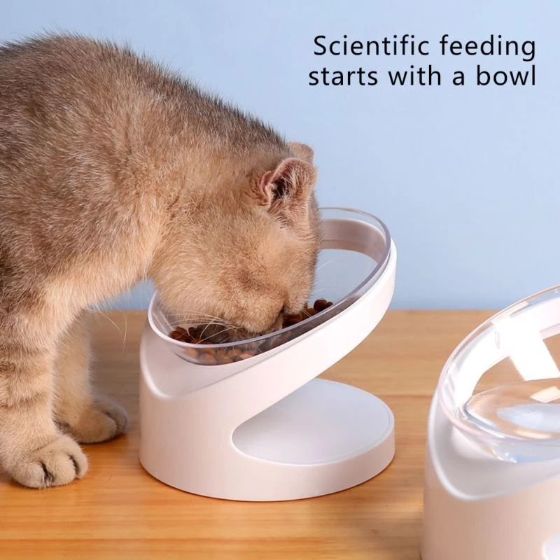 Pet Bowl With Sloping Mouth To Protect Cervical Vertebra Pet Food Bowl Rice Bowl Cat Food Bowl