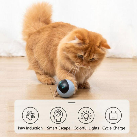 Fofos Two Lucky Raccoon Magic Ball Cat Toy Electric Intelligent Automatic Funny Cat Ball Relieve Boredom And Bite Led Light