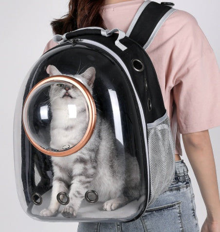 Going Out Cat Carrying Bag Supplies Box  School  Dog Backpack