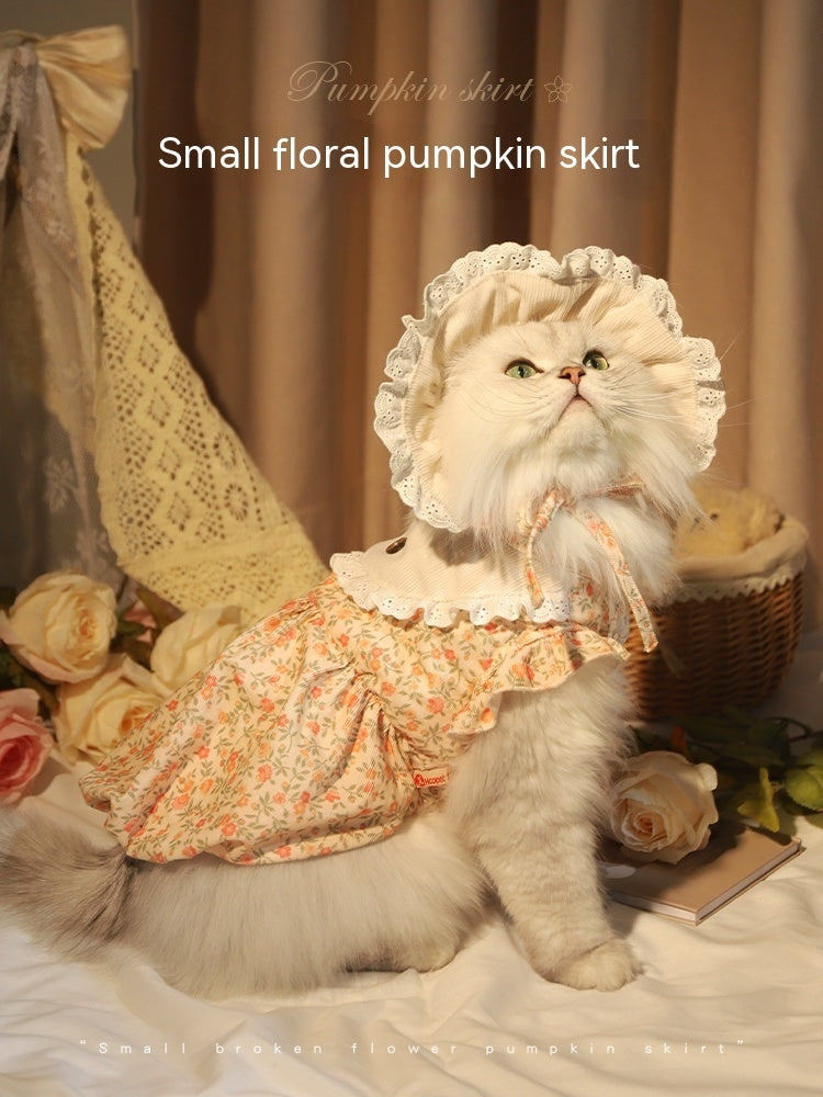 Cat Clothes Anti-lint Autumn Dress Warm And Cute Skirt