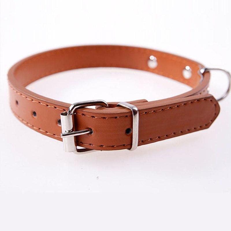 Leather Engraved Cat Collar Custom Cat Pet Collars ID