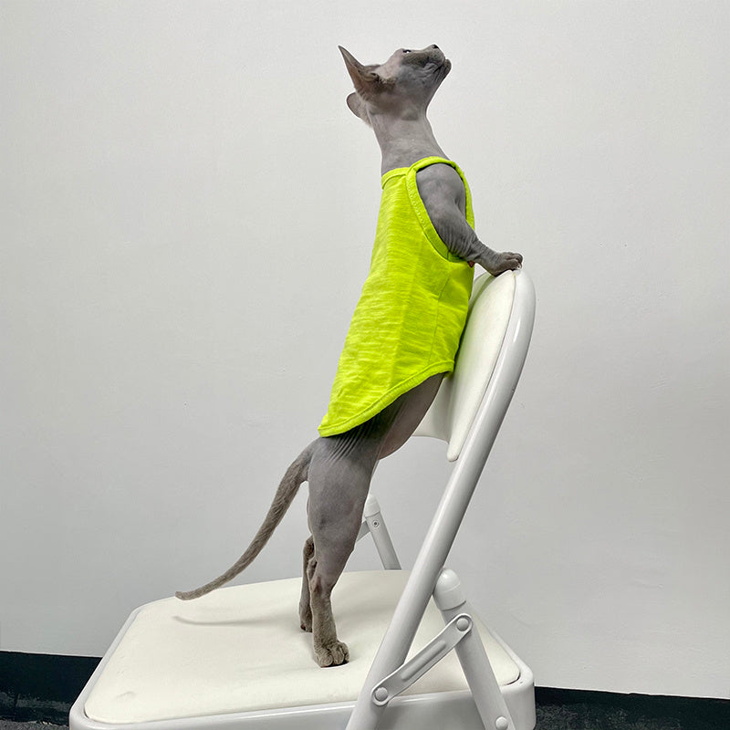 Seven Color Camisole Vest Hairless Cat Clothes