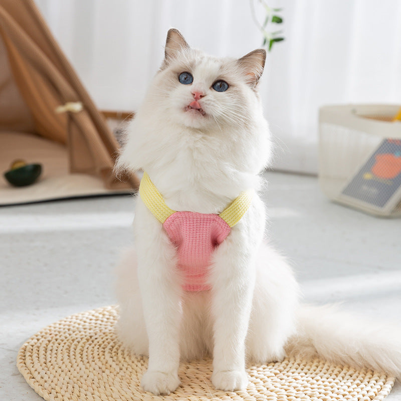 Spring And Summer Cat Macaron Pocket Traction Sling Clothes