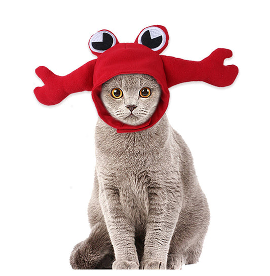 Pet Whimsical Lobster Decorated Hat Cat