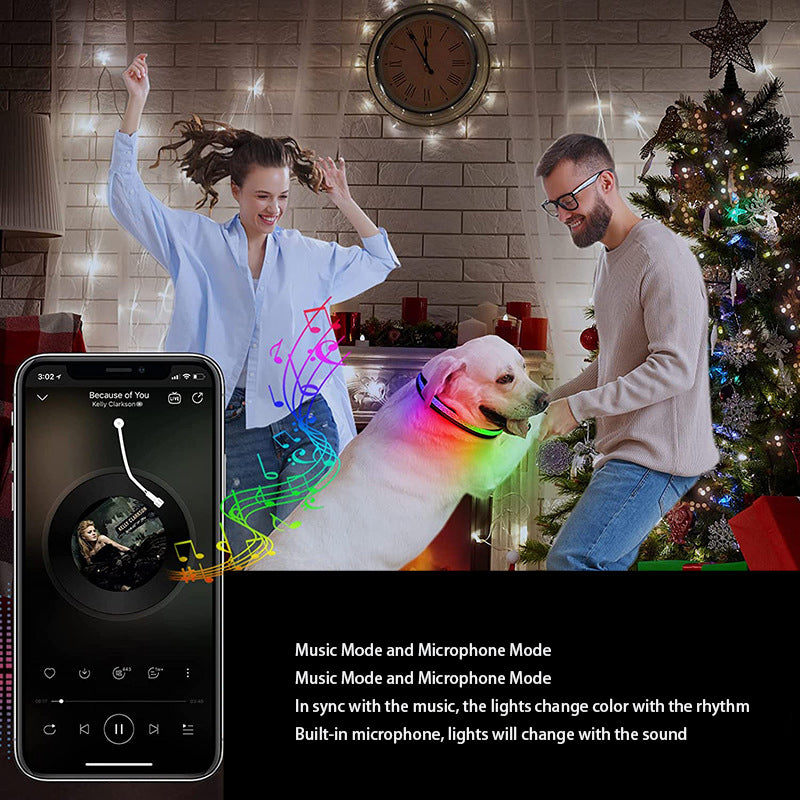 LED Pet Luminous Cat Collar USB Charging Phone APP Application Control