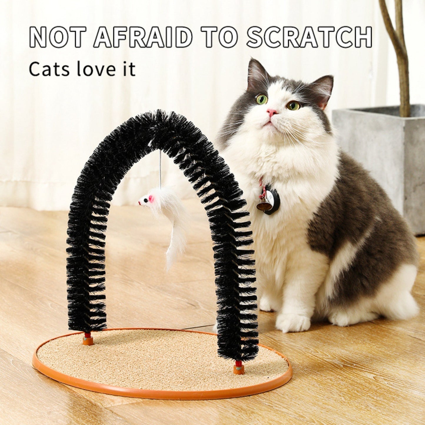 Cat Hair Rub And Anti-Itch Device Plastic Arch-Shaped Brush Cat Scratching Post Cat Toy Hair Grooming Self-Pleasure Little Mouse