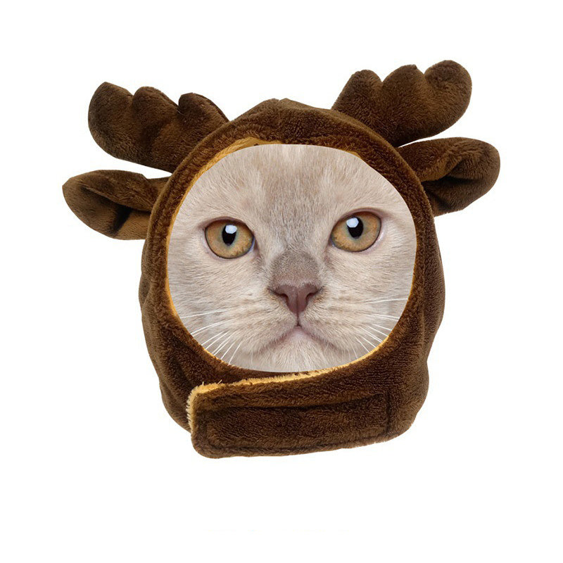 Cartoon-Shaped Dog Headgear Cat Hat Cross-Dressing Party Selling Cute Pet Clothing