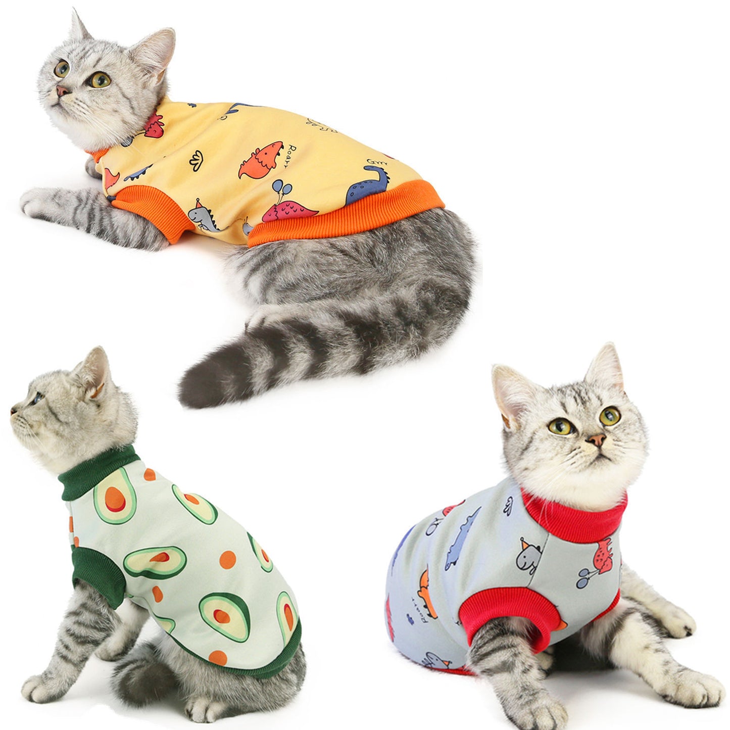 Cat Clothes Autumn And Winter Clothing