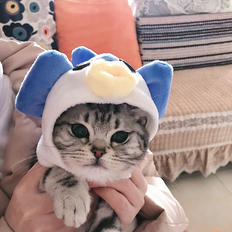 Cat headgear funny cute warm decorative hat