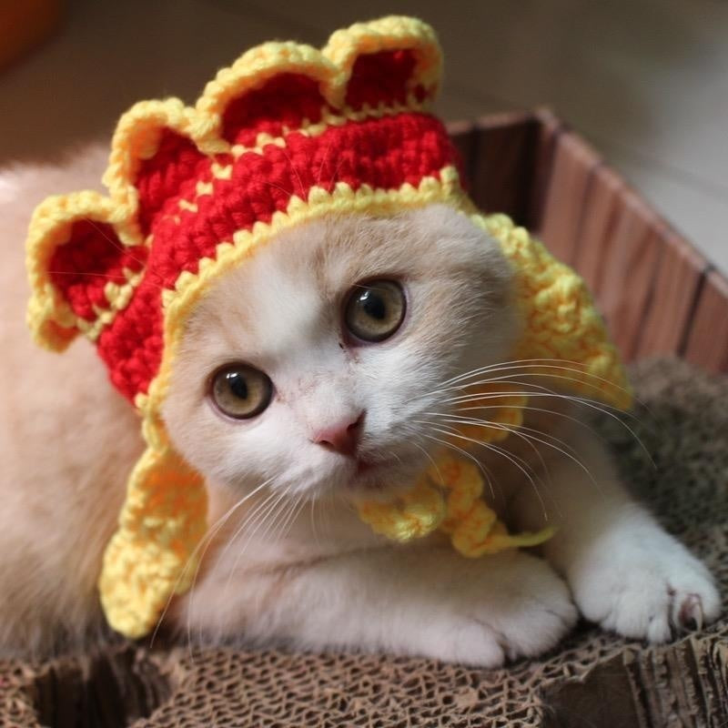 Pet Hood Cat Dog Knitted Hat Prop Headdress