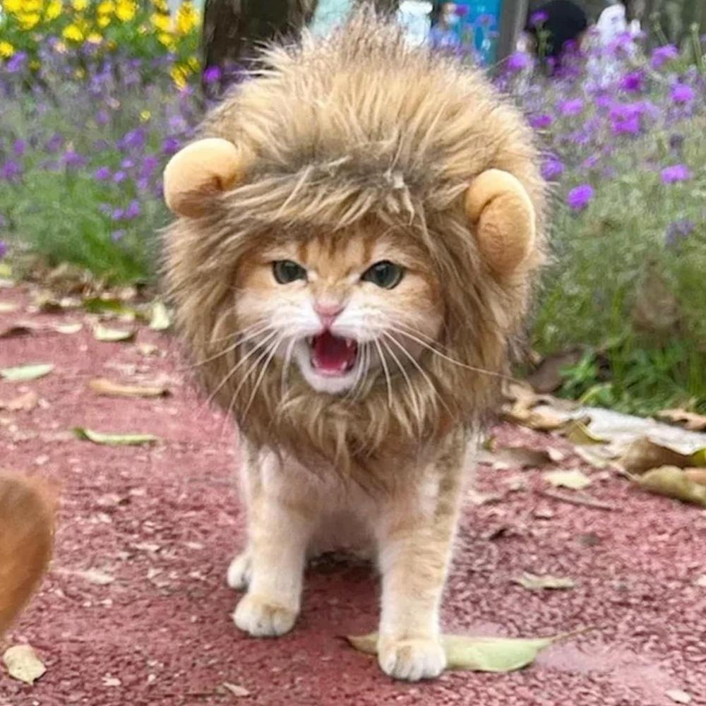 Pet Cat Decor Accessories Lion Wig Fancy Hair Caps Pet Supplies Cute Lion Headgear Cat Hat Mane Wig For Dogs And Cat Small Dog