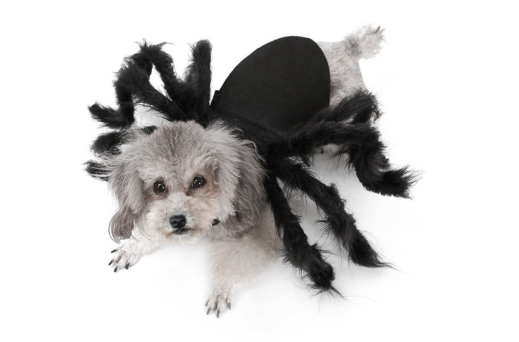 Hot Pet Spider Clothes Puppy Cat Terror Simulation Plush Spider Transforms Party Dress Up