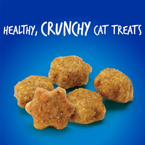 Fruitables Cat Treats – Crunchy Treats for Cats – Healthy Low Calorie Treats Packed with Protein – Free of Wheat, Corn and Soy – Made with Real Chicken with Blueberry – 30 Ounces