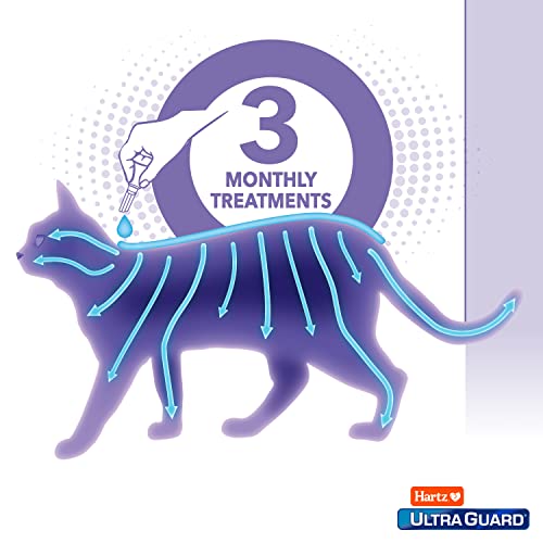 Hartz UltraGuard Topical Flea & Tick Prevention for Cats and Kittens - 3 Monthly Treatments