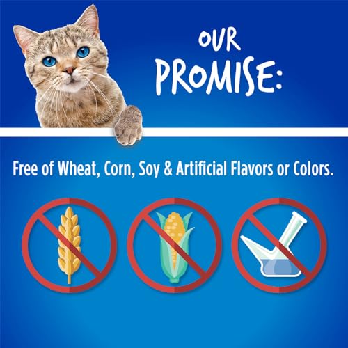 Fruitables Cat Treats – Crunchy Treats for Cats – Healthy Low Calorie Treats Packed with Protein – Free of Wheat, Corn and Soy – Made with Real Chicken with Blueberry – 30 Ounces