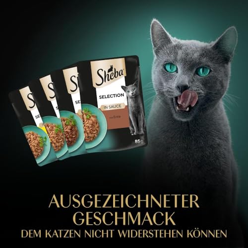 Sheba Katzennassfutter Selection in Sauce, 40 Portionsbeutel, 40x85g (1 Großpackung) – Katzenfutter nass, Geflügel Variation mit Ente, Huhn, Geflügel und Truthahn