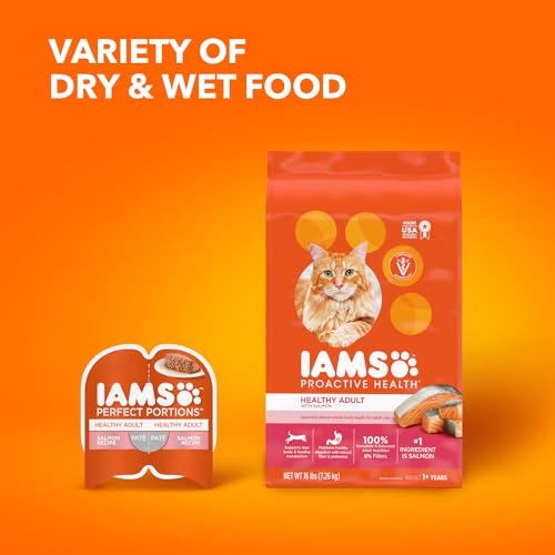 IAMS Proactive Health Adult Healthy Dry Cat Food with Salmon, 16 lb. Bag