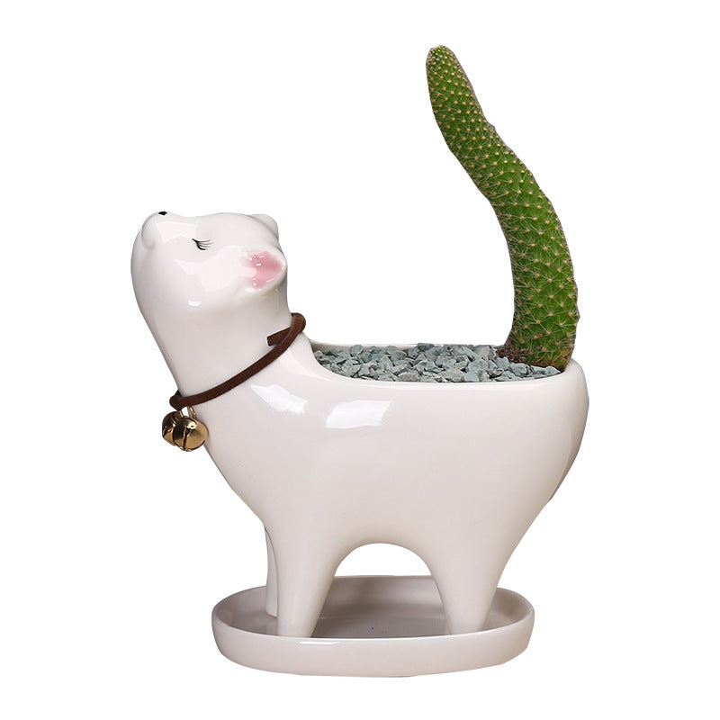 Cat Tail Succulent Cactus Ceramic Flowerpot