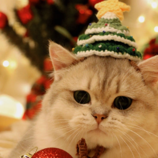 A Christmas Tree, Small Hat, Pet Cat