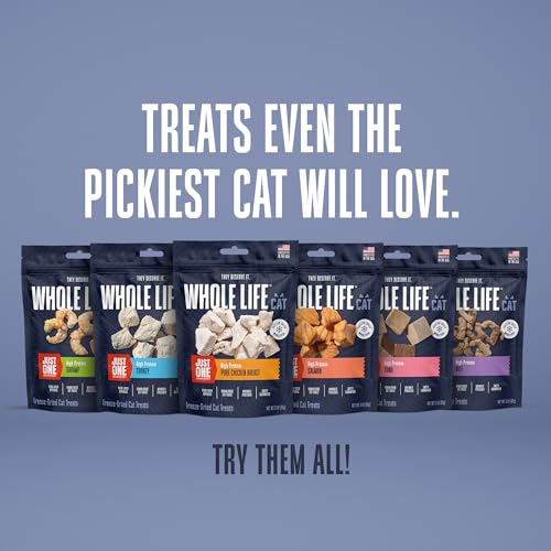 Whole Life Pet Just One Turkey Freeze Dried Cat Treats - Human Grade Cat Food Toppers, High Protein Cat Snacks, Cat Toppers for Food, USA Made Natural Cat Treats - 1.2 oz (Pack of 1)