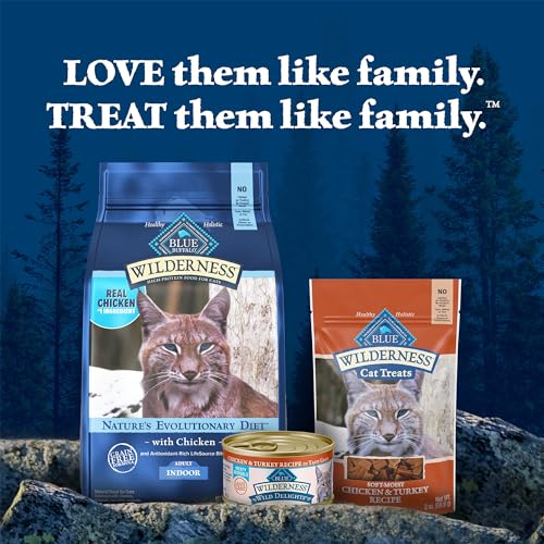 Blue Buffalo Wilderness Soft Cat Treats, Grain-Free and Protein-Rich, Great for Training, Chicken & Turkey Recipe, 2-oz. Bag