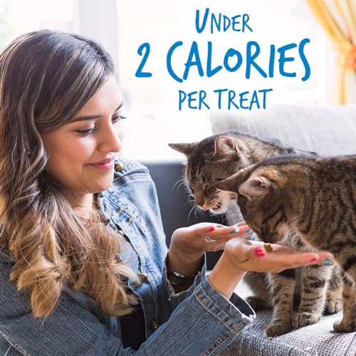 Fruitables Cat Treats – Crunchy Treats for Cats – Healthy Low Calorie Treats Packed with Protein – Free of Wheat, Corn and Soy – Made with Real Chicken with Blueberry – 30 Ounces