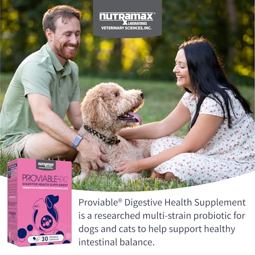 Nutramax Proviable Digestive Health Supplement Multi-Strain Probiotics and Prebiotics for Cats and Dogs - With 7 Strains of Bacteria, 30 Capsules