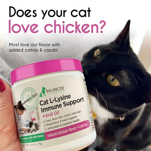 Balanced Breed L-Lysine Cats Immune Support Soft Chews Made in USA Non-GMO Vet-Pharmacist Approved Krill Oil Omega 3 Cat Vitamins Indoor Cats Supplements Asthma Relief Cat Lysine Allergy Relief 60 ct.