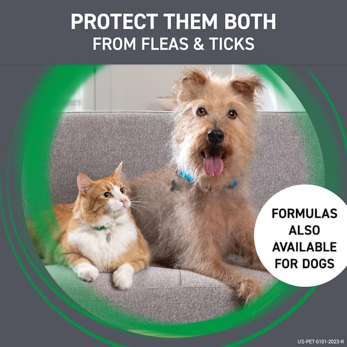 Frontline Plus Flea and Tick Treatment for Cats Over 1.5 lbs. 3 Treatments