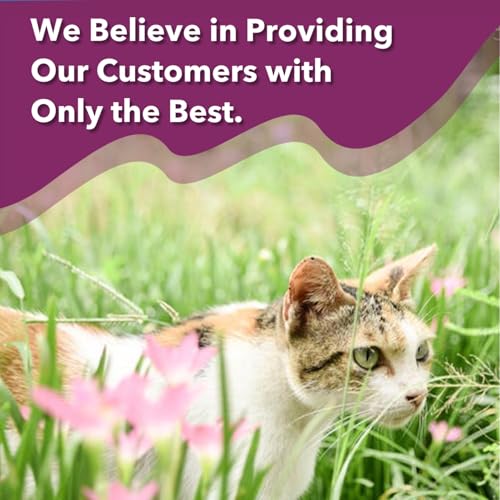 Nutriarise UT AID Plus Feline Idiopathic Cystitis, Cat & Dog Urinary Tract Infection Support, for Treating Incontinence, Bladder Stones, Frequent Urination，Destress, Calm Down- 30 Cap.