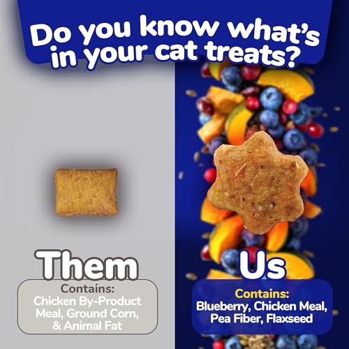 Fruitables Cat Treats – Crunchy Treats for Cats – Healthy Low Calorie Treats Packed with Protein – Free of Wheat, Corn and Soy – Made with Real Chicken with Blueberry – 30 Ounces