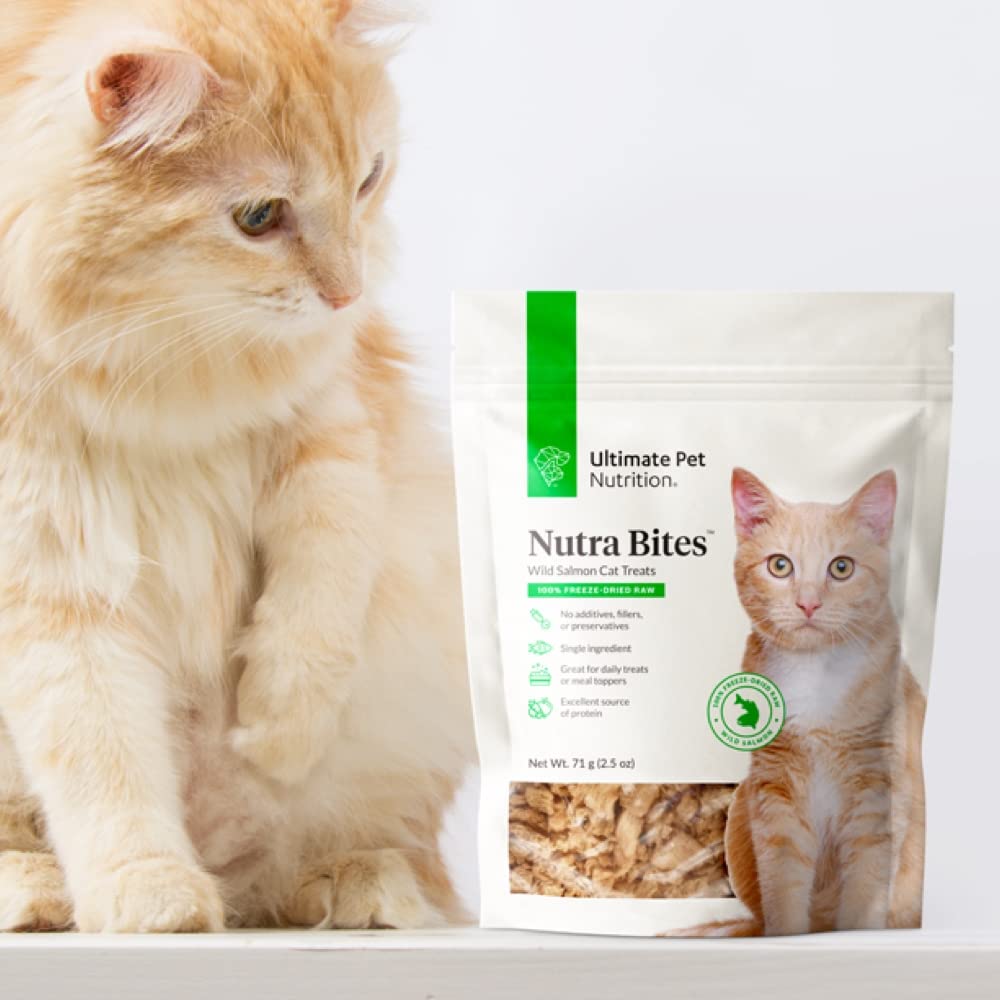 ULTIMATE PET NUTRITION Nutra Bites for Cats, Freeze Dried Raw Treats, Single Ingredient, Grain Free, Salmon, 2.5 Ounce