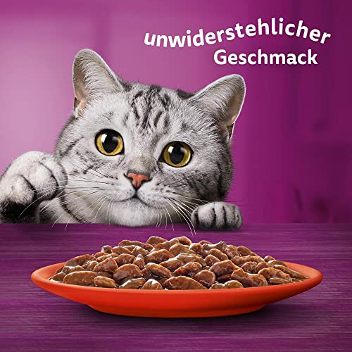 Whiskas 1+ Katzennassfutter Klassische Auswahl in Sauce, 84x85g (1 Großpackung) – Hochwertiges Nassfutter für ausgewachsene Katzen in 84 Portionsbeuteln