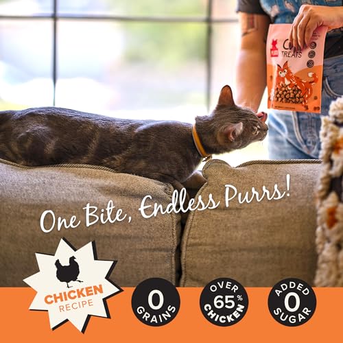 PLATO Pet Treats Air-Dried Cat Treats Chicken Recipe, Grain Free, All Natural, Made in The USA, 2.5oz